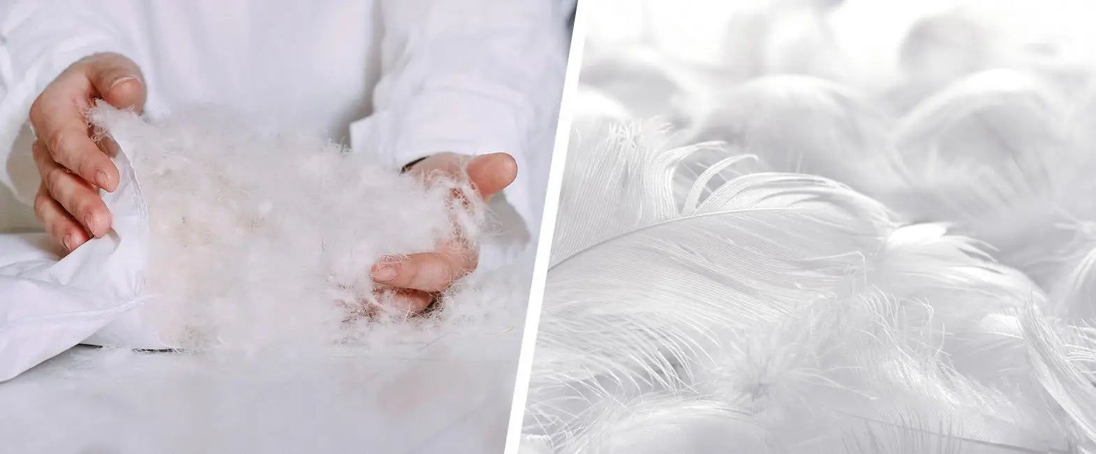 How to Choose: Down vs Feather