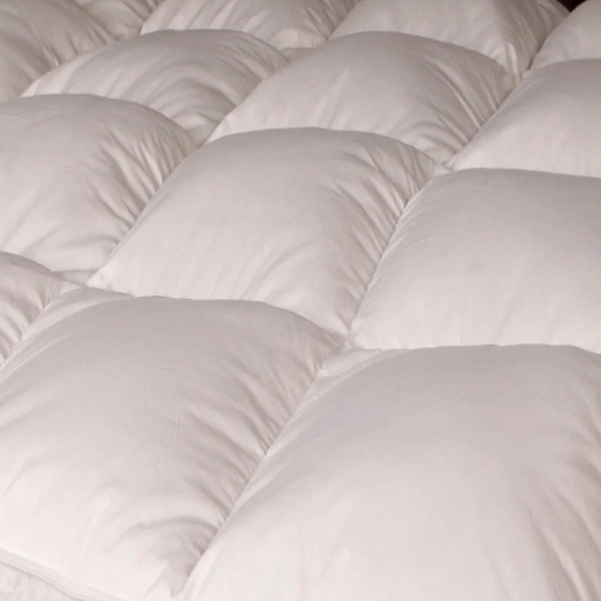 White Goose Down Top Featherbed