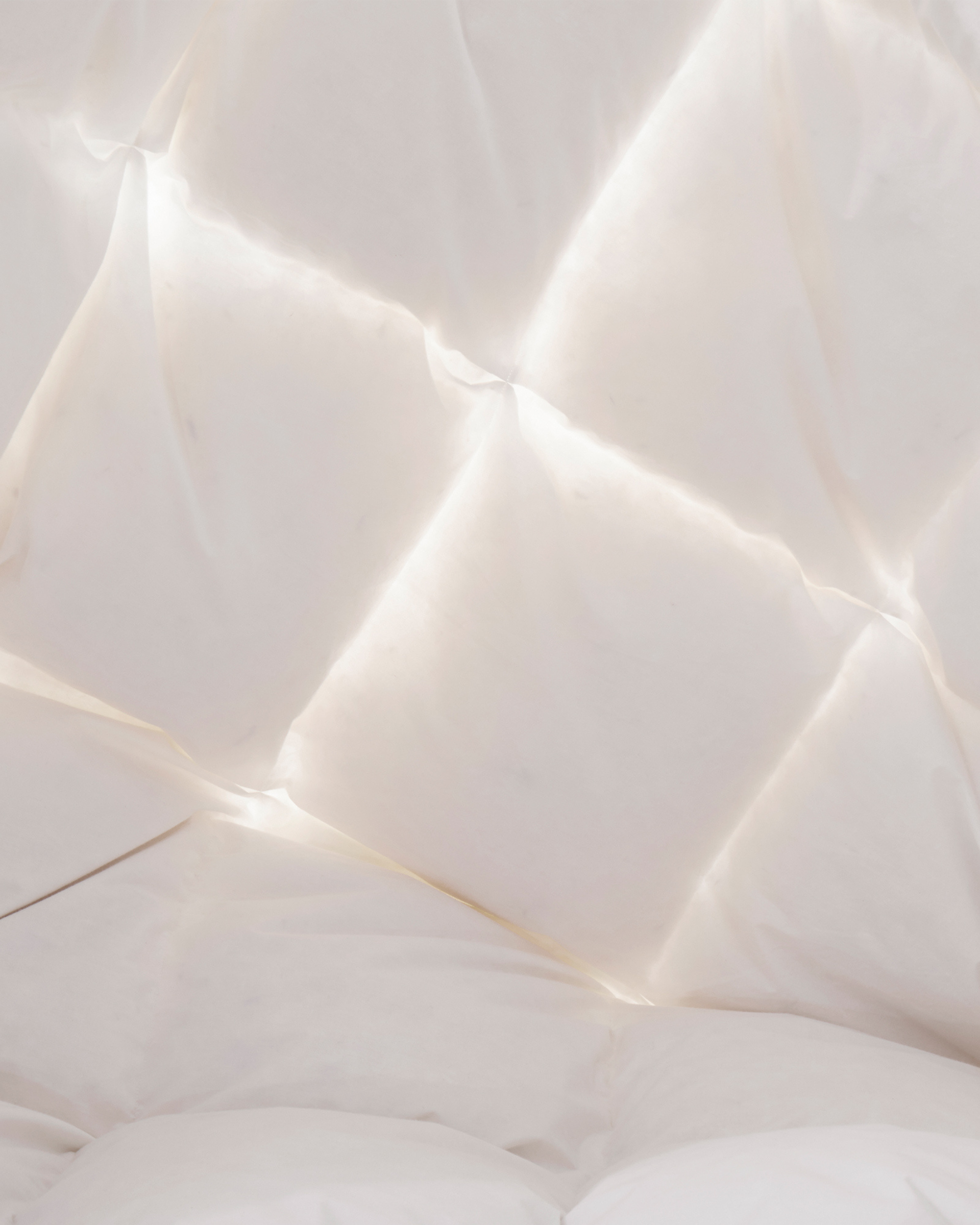 Baffle-box chambers backlit through the 400 thread count cotton sateen shell of a Royal Elite Hutterite down duvet.