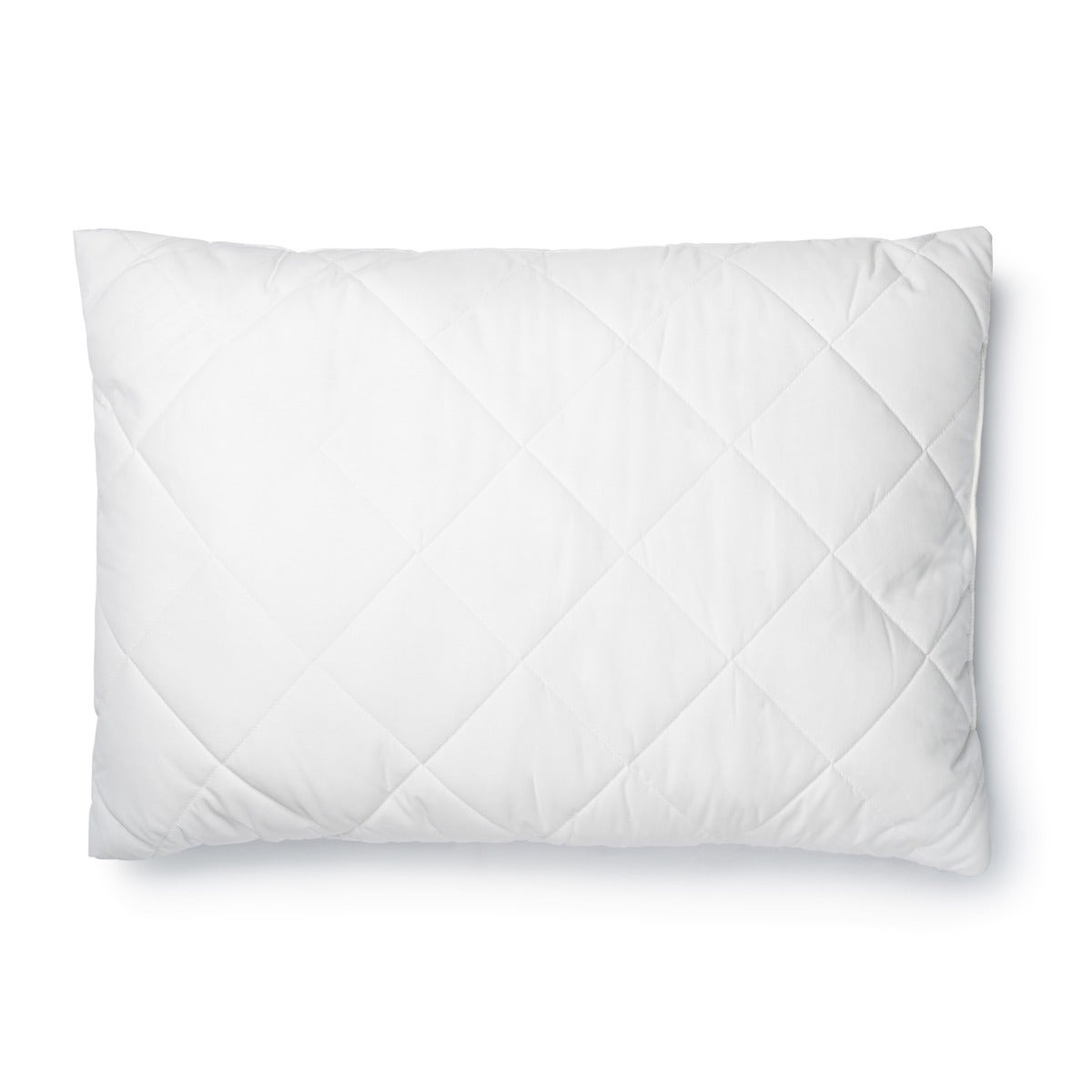 Silk Combo Pillow