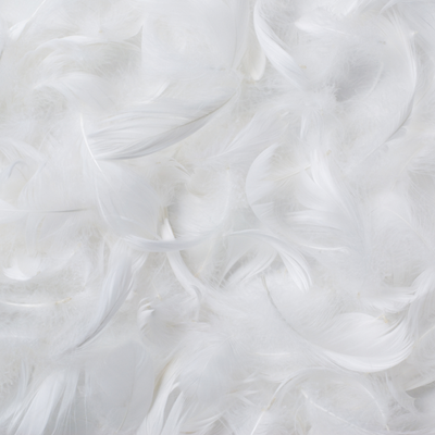Feather Duvet