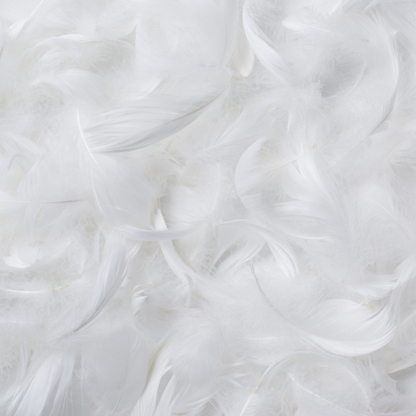 Feather Duvet