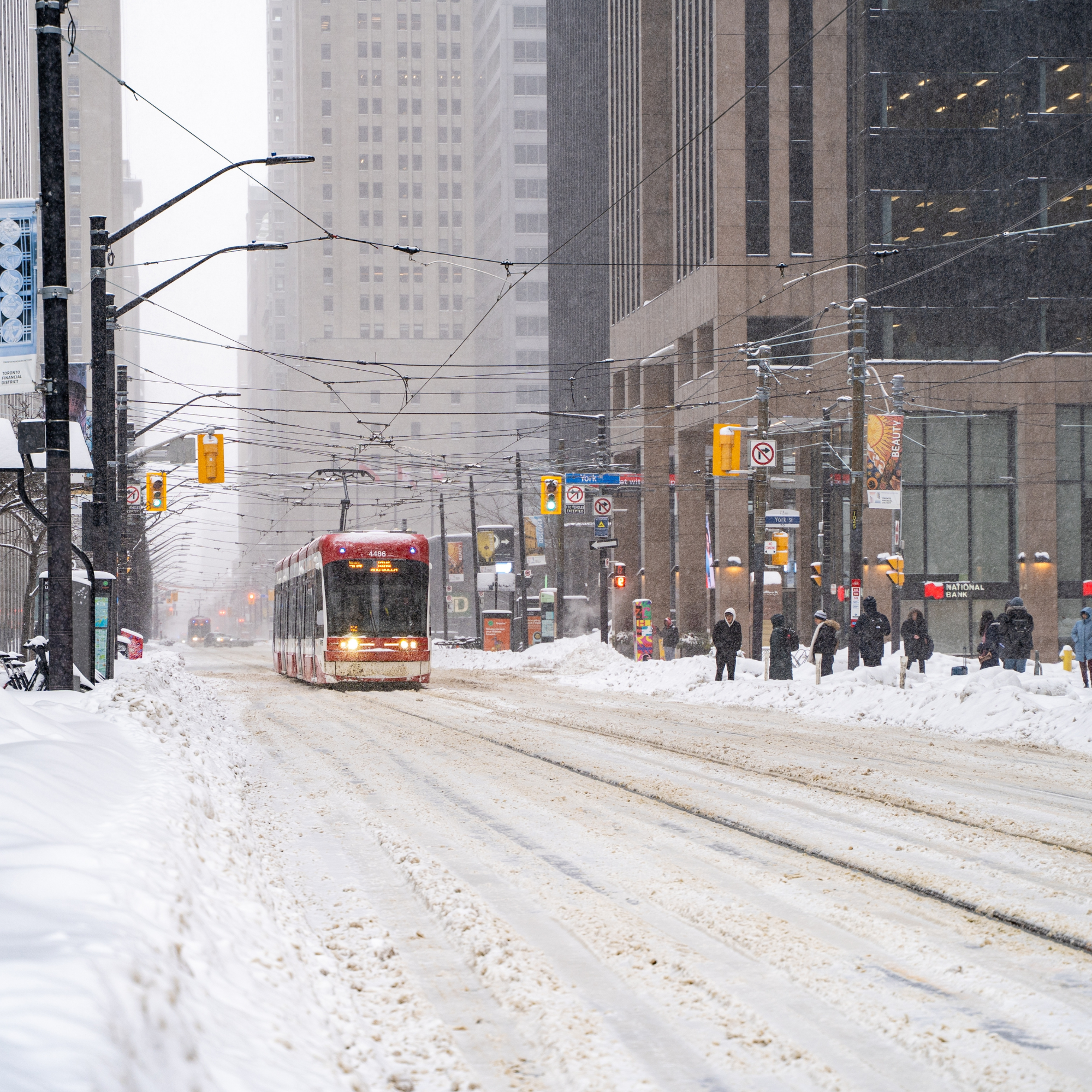 Winter morning in Toronto, representing the inspiration behind Maholi's founding in 1994.