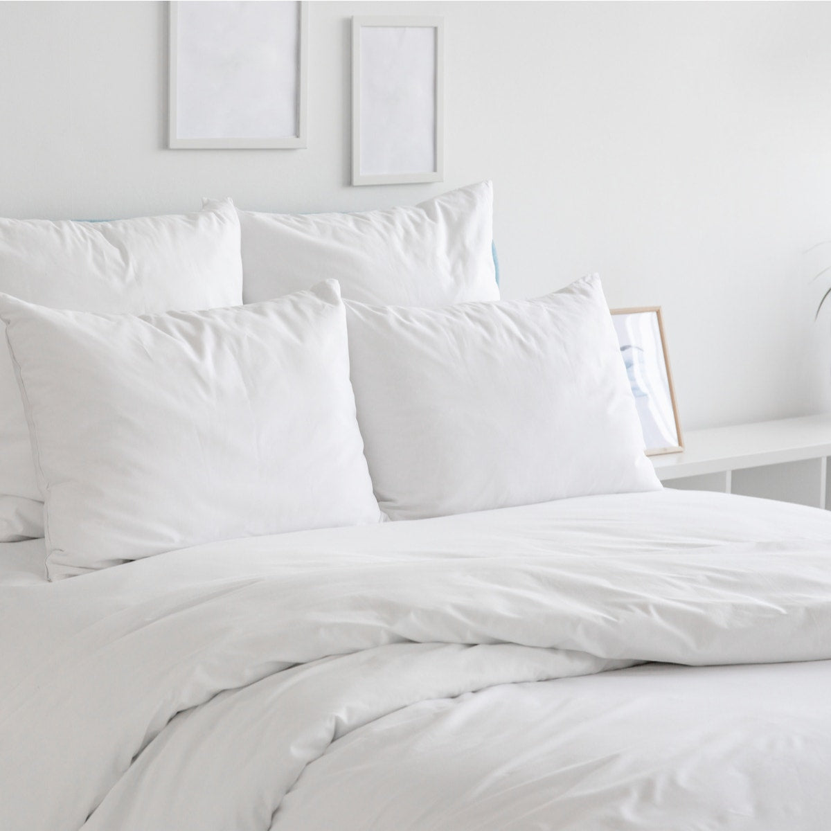 Ambassador - Solid Sheet Set
