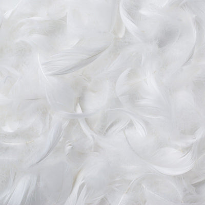 Close-up of the white feather fill used in the Royal Elite Feather Duvet.