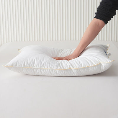 Silk Combo Pillow