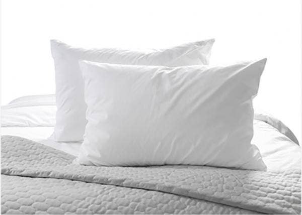 Single-Ply vs. Two-Ply 