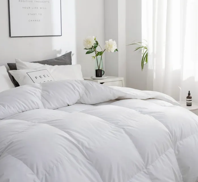 Royal Elite Oreiller de duvet d'oie blanc, très grand24